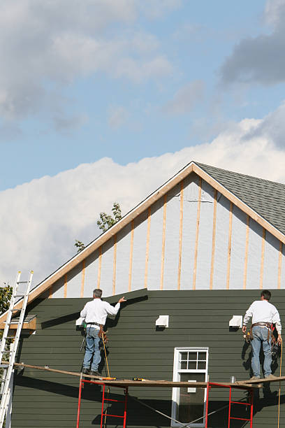 Affordable siding repair and maintenance services in Mount Vernon, VA